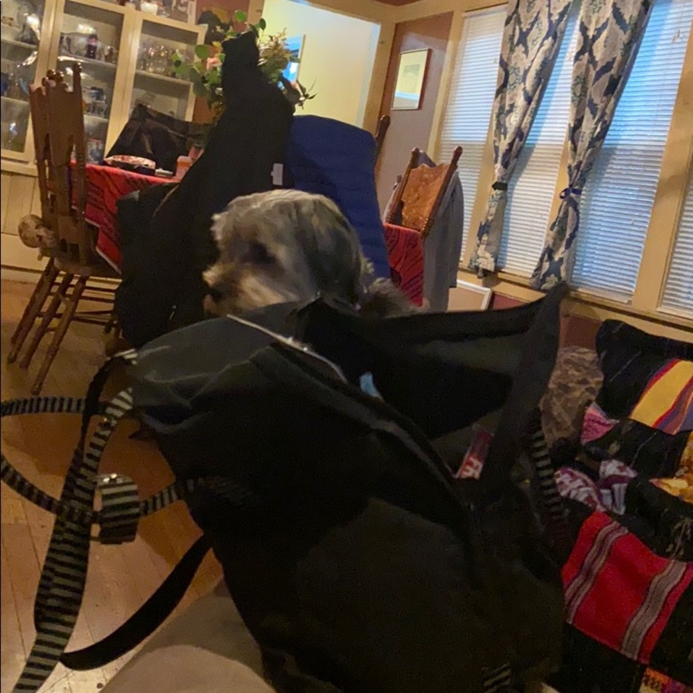 Meet your Posher, Gabriela